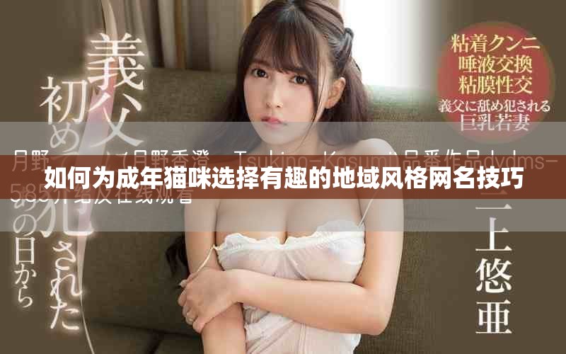 如何为成年猫咪选择有趣的地域风格网名技巧