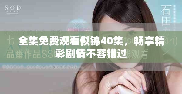 全集免费观看似锦40集，畅享精彩剧情不容错过