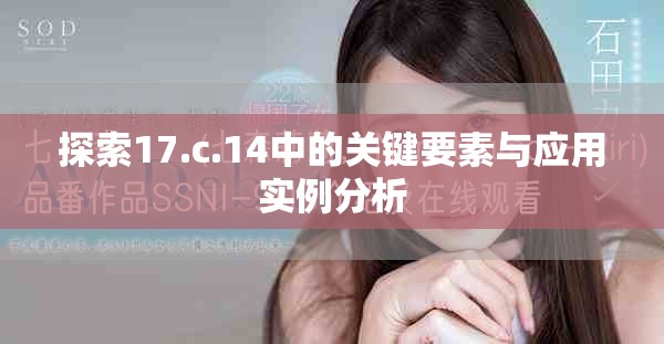 探索17.c.14中的关键要素与应用实例分析