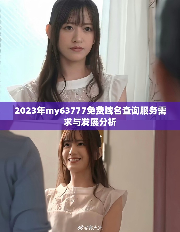 2023年my63777免费域名查询服务需求与发展分析