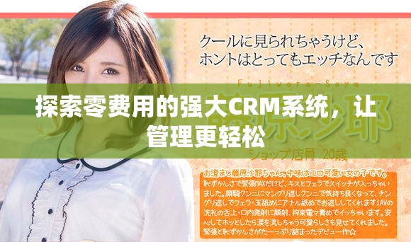 探索零费用的强大CRM系统，让管理更轻松