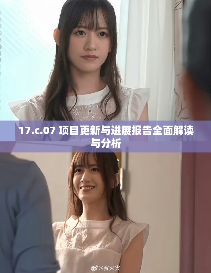 17.c.07 项目更新与进展报告全面解读与分析