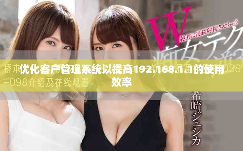 优化客户管理系统以提高192.168.1.1的使用效率