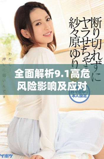 全面解析9.1高危风险影响及应对策略，助您安全防范风险