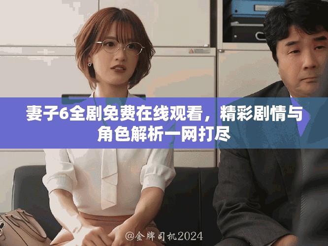 妻子6全剧免费在线观看，精彩剧情与角色解析一网打尽