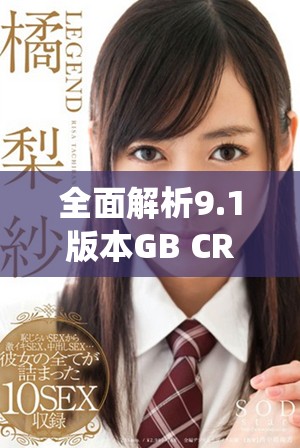 全面解析9.1版本GB CRM系统的功能与应用技巧