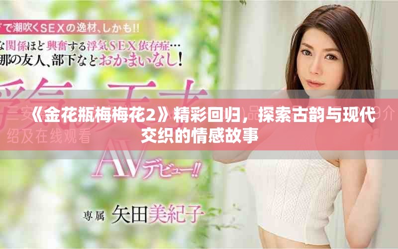 《金花瓶梅梅花2》精彩回归，探索古韵与现代交织的情感故事