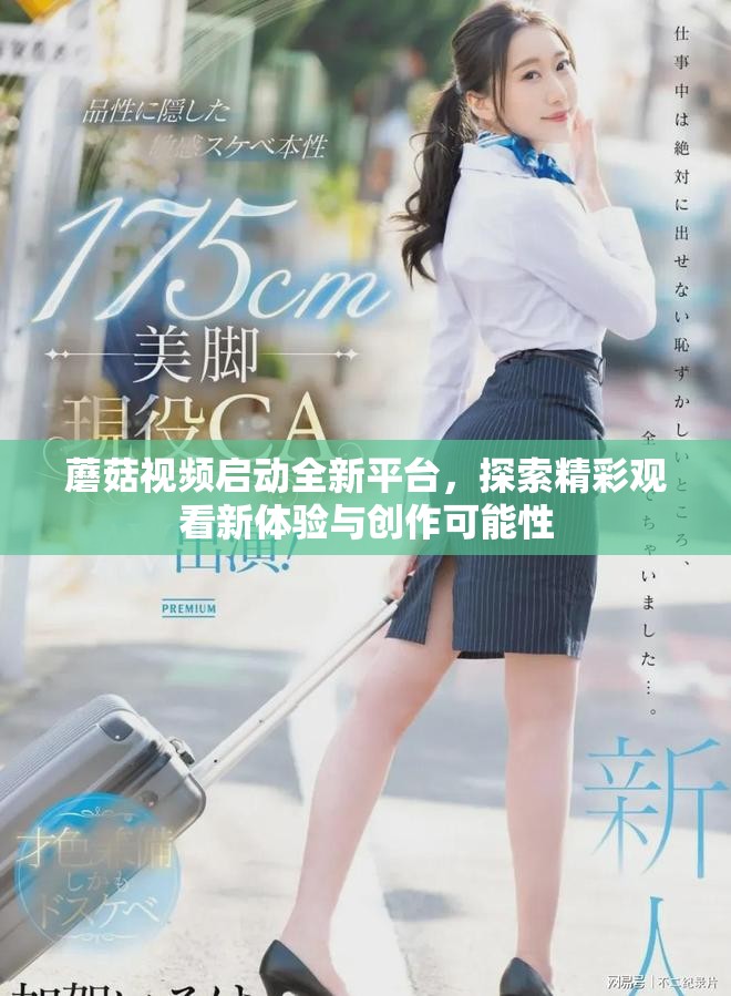 蘑菇视频启动全新平台，探索精彩观看新体验与创作可能性