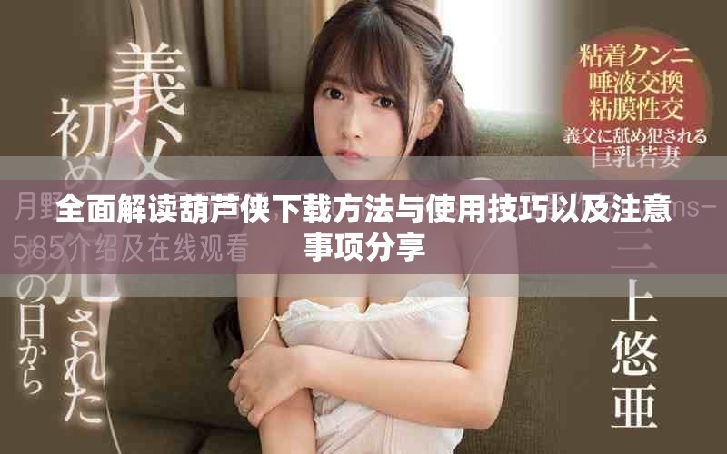 全面解读葫芦侠下载方法与使用技巧以及注意事项分享