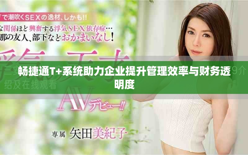 畅捷通T+系统助力企业提升管理效率与财务透明度