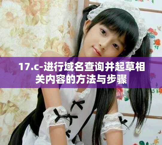 17.c-进行域名查询并起草相关内容的方法与步骤
