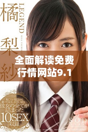 全面解读免费行情网站9.1下载及其新功能使用指南