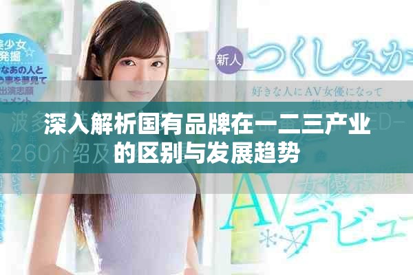 深入解析国有品牌在一二三产业的区别与发展趋势