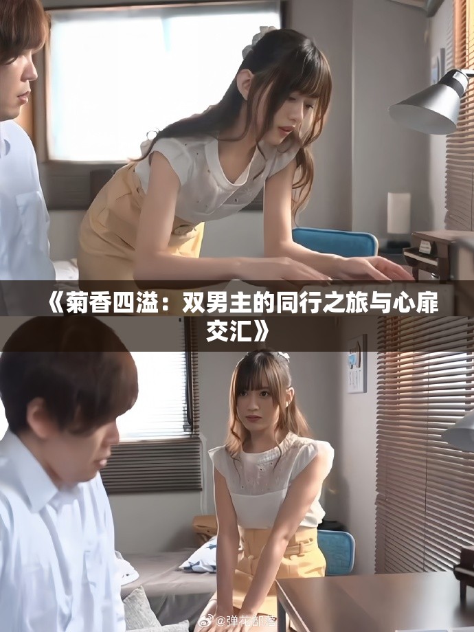 《菊香四溢：双男主的同行之旅与心扉交汇》