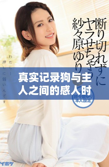 真实记录狗与主人之间的感人时刻视频合集