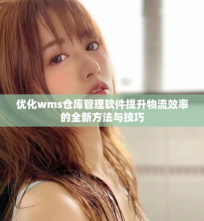 优化wms仓库管理软件提升物流效率的全新方法与技巧
