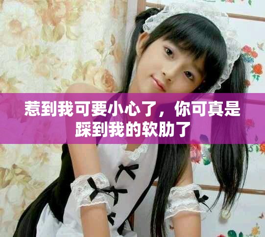 惹到我可要小心了，你可真是踩到我的软肋了