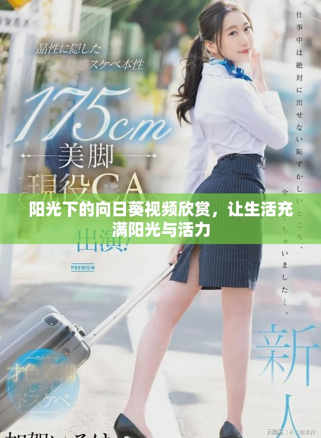 阳光下的向日葵视频欣赏，让生活充满阳光与活力