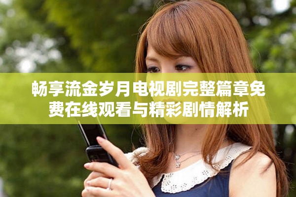 畅享流金岁月电视剧完整篇章免费在线观看与精彩剧情解析