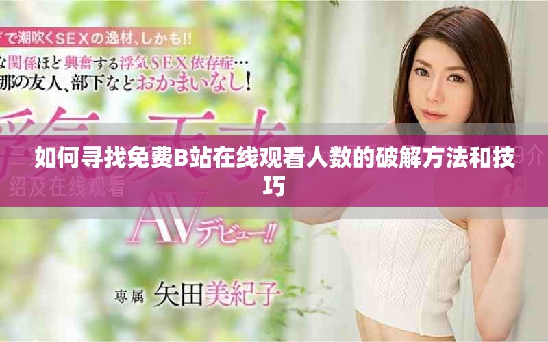 如何寻找免费B站在线观看人数的破解方法和技巧