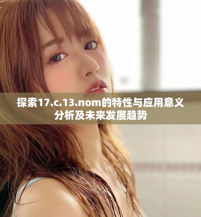 探索17.c.13.nom的特性与应用意义分析及未来发展趋势