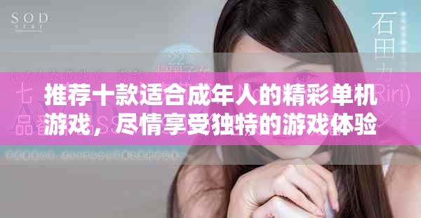 推荐十款适合成年人的精彩单机游戏，尽情享受独特的游戏体验