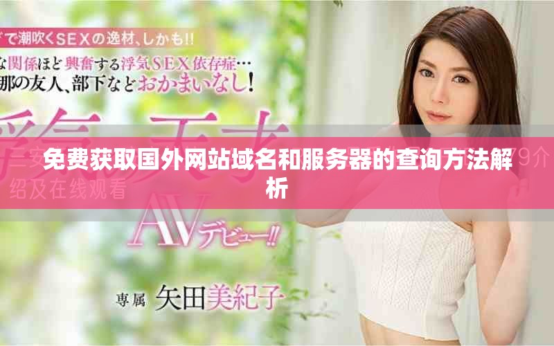 免费获取国外网站域名和服务器的查询方法解析