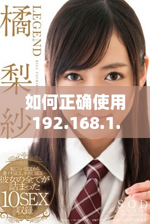 如何正确使用192.168.1.1进行路由器设置与管理技巧