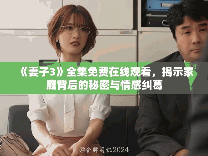 《妻子3》全集免费在线观看，揭示家庭背后的秘密与情感纠葛