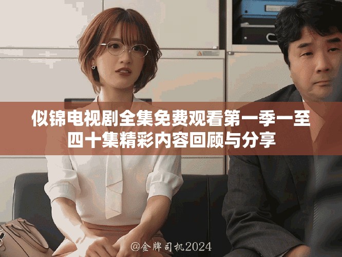 似锦电视剧全集免费观看第一季一至四十集精彩内容回顾与分享