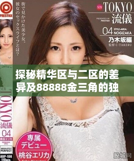 探秘精华区与二区的差异及88888金三角的独特魅力