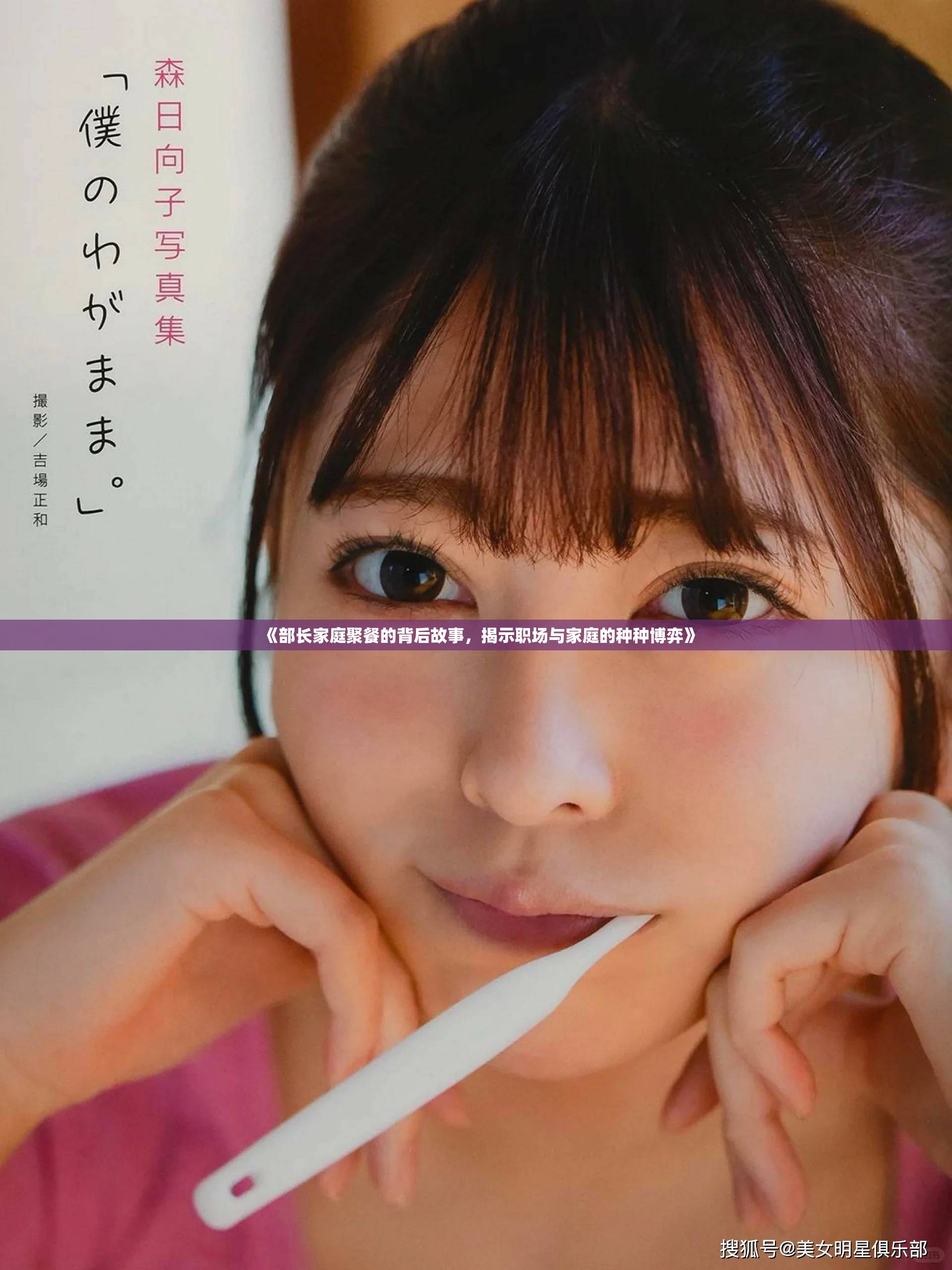 《部长家庭聚餐的背后故事，揭示职场与家庭的种种博弈》