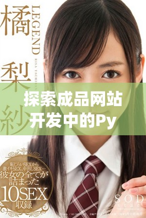 探索成品网站开发中的Python应用与技巧分析
