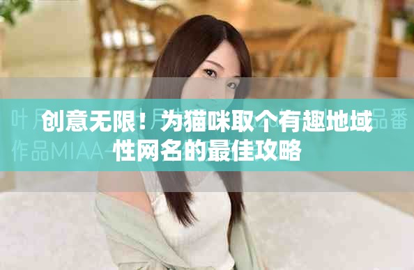 创意无限！为猫咪取个有趣地域性网名的最佳攻略