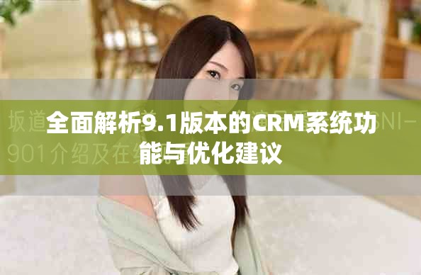 全面解析9.1版本的CRM系统功能与优化建议