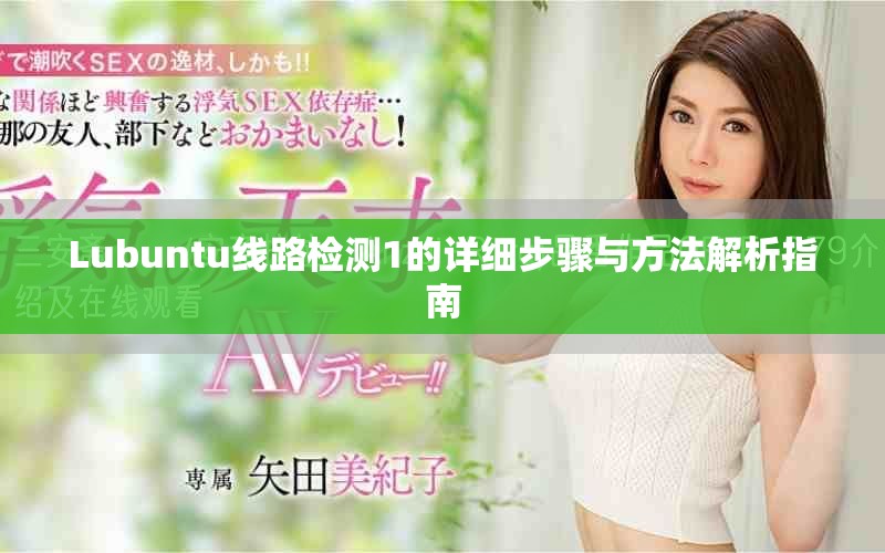 Lubuntu线路检测1的详细步骤与方法解析指南