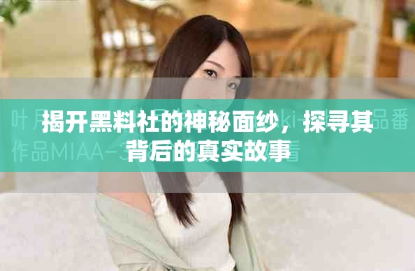 揭开黑料社的神秘面纱，探寻其背后的真实故事