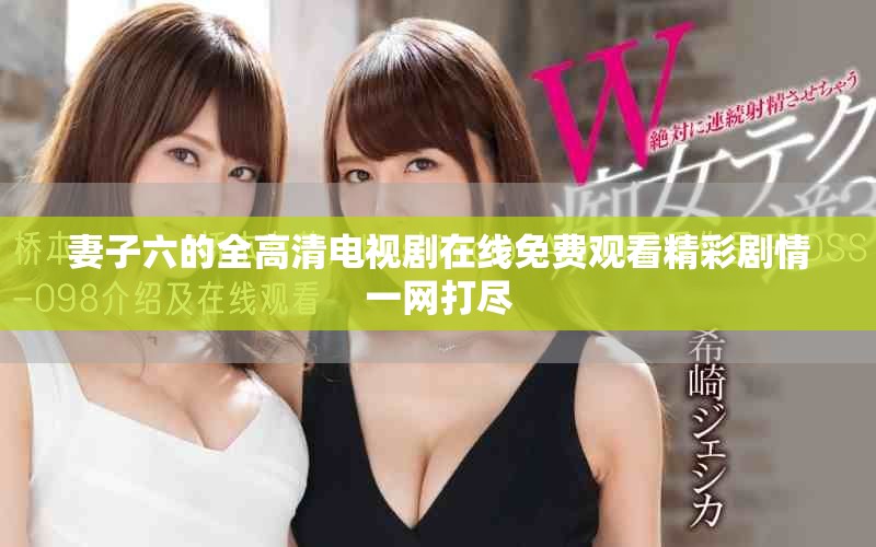 妻子六的全高清电视剧在线免费观看精彩剧情一网打尽