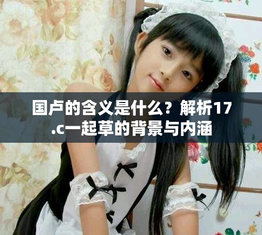国卢的含义是什么？解析17.c一起草的背景与内涵