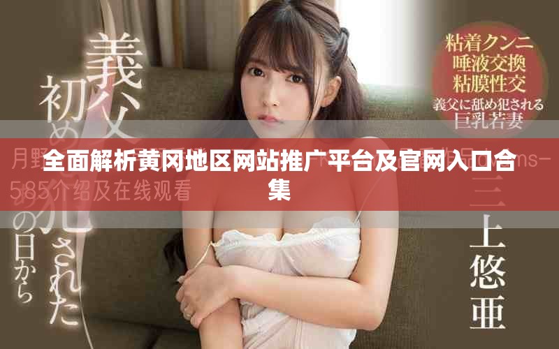 全面解析黄冈地区网站推广平台及官网入口合集