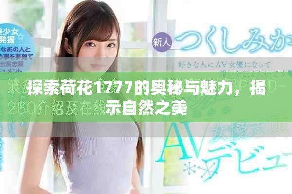 探索荷花1777的奥秘与魅力，揭示自然之美