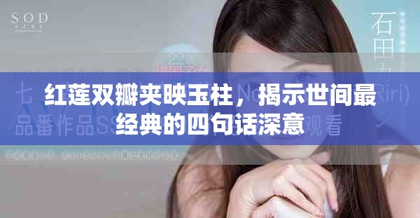 红莲双瓣夹映玉柱，揭示世间最经典的四句话深意