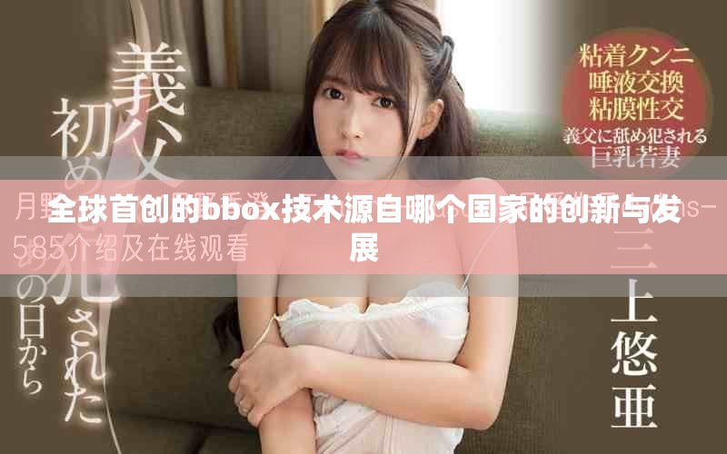 全球首创的bbox技术源自哪个国家的创新与发展
