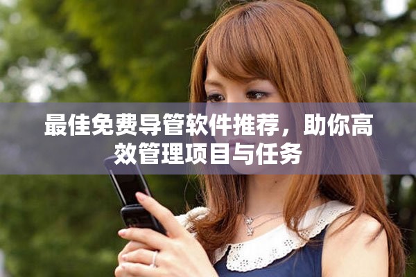 最佳免费导管软件推荐，助你高效管理项目与任务