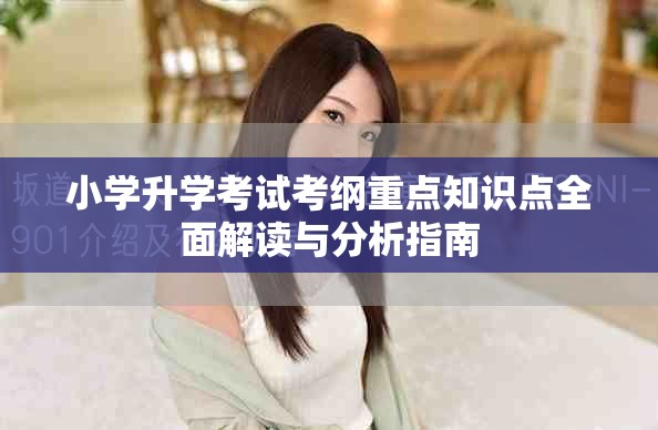 小学升学考试考纲重点知识点全面解读与分析指南