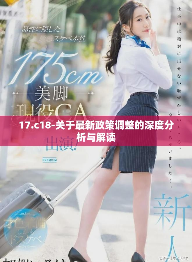 17.c18-关于最新政策调整的深度分析与解读