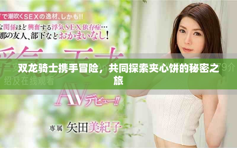双龙骑士携手冒险，共同探索夹心饼的秘密之旅