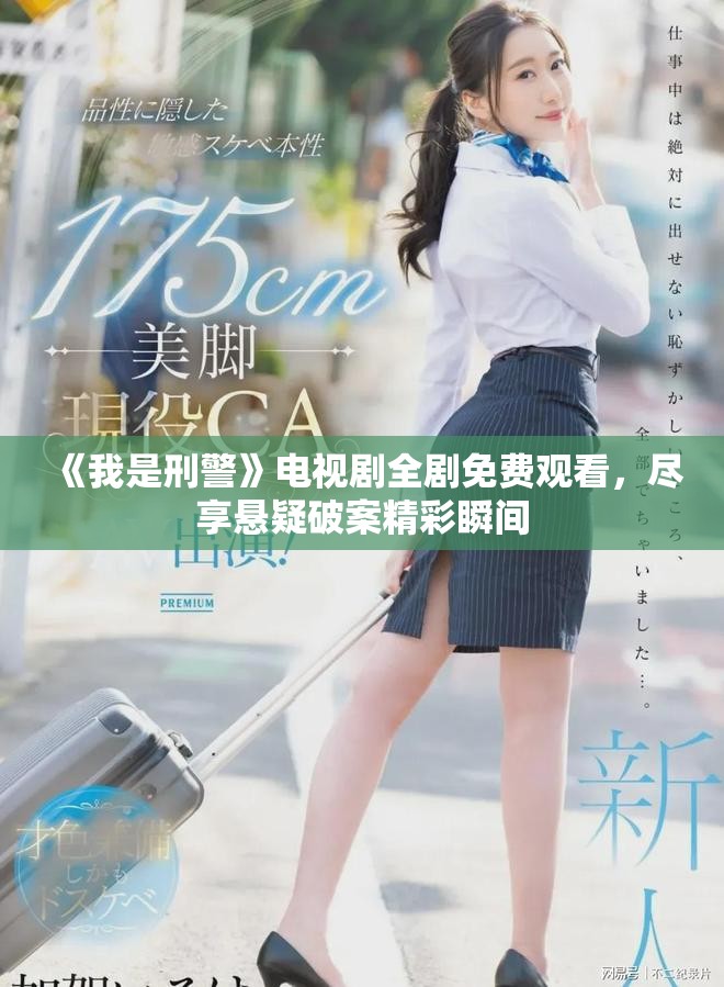 《我是刑警》电视剧全剧免费观看，尽享悬疑破案精彩瞬间