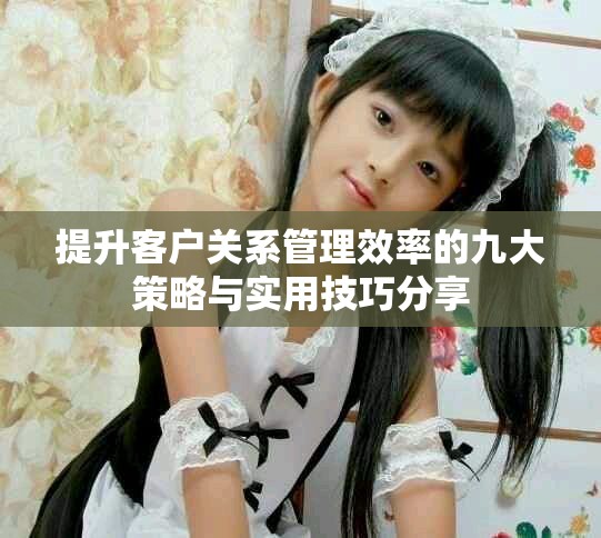 提升客户关系管理效率的九大策略与实用技巧分享