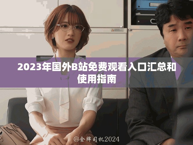 2023年国外B站免费观看入口汇总和使用指南
